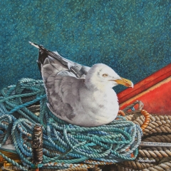 Unusual Nest