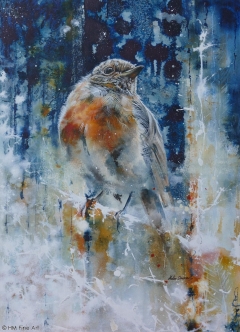 Winter Robin