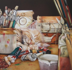 Studio Siesta