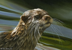 Otter