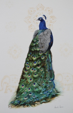 Resplendent
